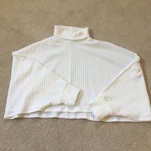Cropped Turtleneck Sweater